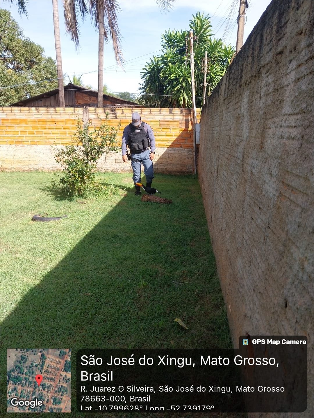 SÃO JOSÉ DO XINGU | AÇÃO AMBIENTAL