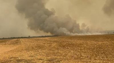 Incêndio atinge fazenda em Vila Rica e funcionário de propriedade vizinha confessa autoria.