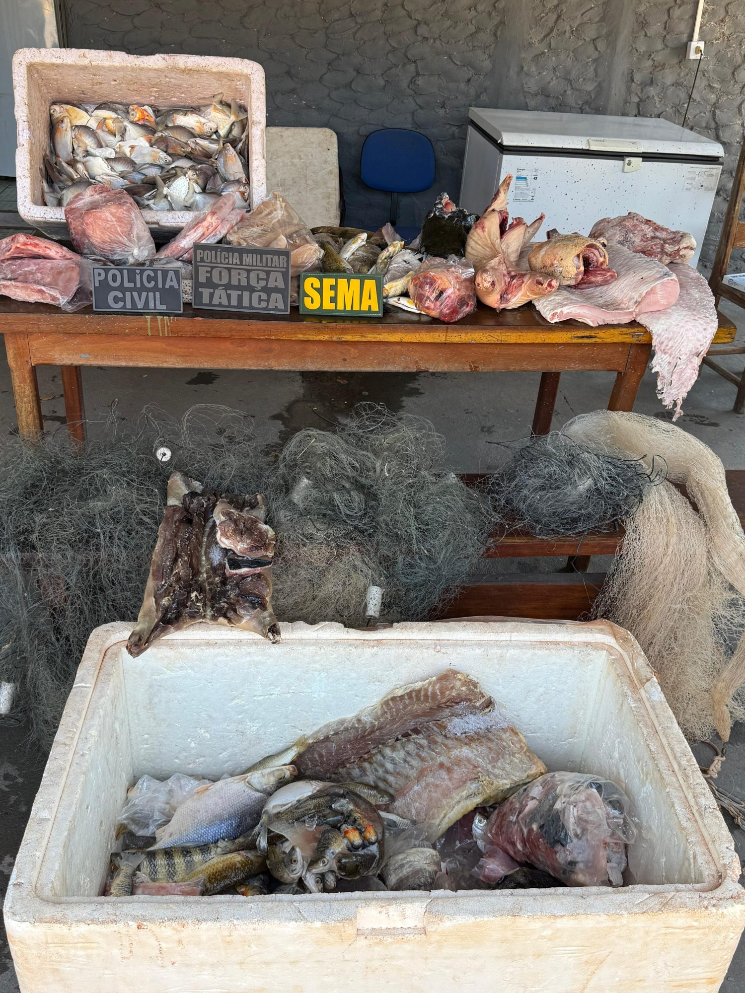 Operação conjunta combate crimes ambientais em Santa Terezinha.