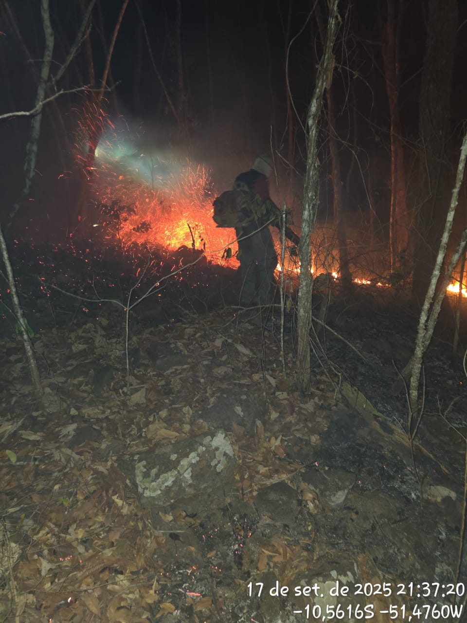 Incêndio em vegetação mobiliza Bombeiros e brigadistas na zona rural de Confresa.
